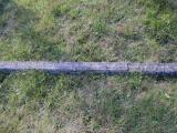 image of grave number 953297